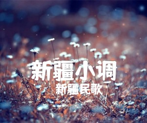 《新疆小调吉他谱》_新疆民歌_C调 图片谱2张