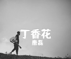 《丁香花吉他谱》_唐磊_文字谱