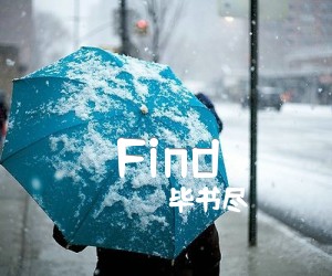 《Find吉他谱》_毕书尽 图片谱2张