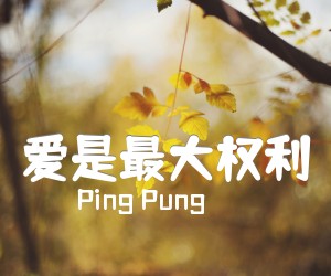 《爱是最大权利吉他谱》_Ping Pung 图片谱1张