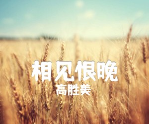 《相见恨晚吉他谱》_高胜美_E调 图片谱2张