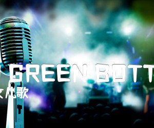 《TSN GREEN BOTTLES吉他谱》_英文儿歌_F调 图片谱1张