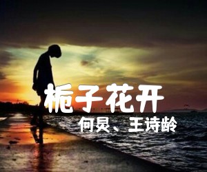 《栀子花开吉他谱》_何炅、王诗龄_C调_吉他图片谱2张