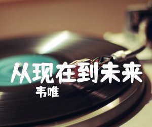 《从现在到未来吉他谱》_韦唯_C调 图片谱2张