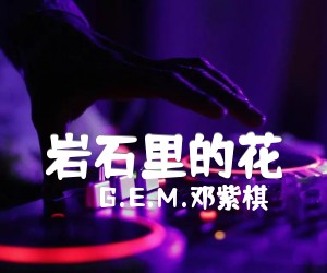 《岩石里的花吉他谱》_G.E.M.邓紫棋_G调 图片谱4张