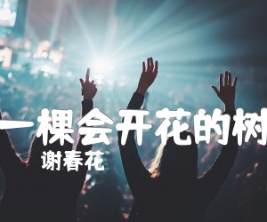 《一棵会开花的树吉他谱》_谢春花__图片谱高清版 图片谱5张