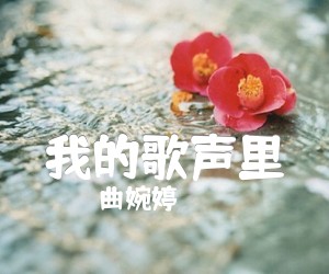 《我的歌声里吉他谱》_曲婉婷_C调 图片谱4张