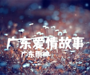 《广东爱情故事吉他谱》_广东雨神_C调 图片谱2张