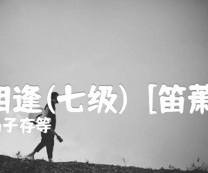 《喜相逢(七级)  [笛萧谱]吉他谱》_冯子存等_C调 图片谱1张