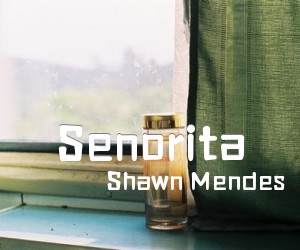 《Senorita吉他谱》_Shawn Mendes_C调 图片谱5张