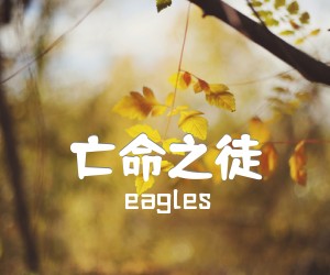 《亡命之徒吉他谱》_eagles_吉他图片谱1张