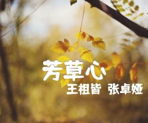 《芳草心吉他谱》_王祖皆  张卓娅 图片谱1张