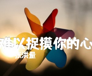 《难以捉摸你的心吉他谱》_张洪量 文字谱