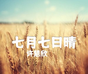 《七月七日晴吉他谱》_许慧欣_吉他图片谱1张