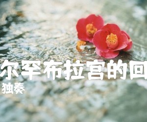 《阿尔罕布拉宫的回忆吉他谱》_独奏 图片谱1张