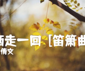 《潇洒走一回  [笛箫曲谱]吉他谱》_叶倩文_E调_吉他图片谱1张