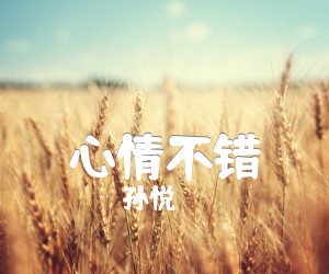 《心情不错吉他谱》_孙悦_G调 图片谱2张