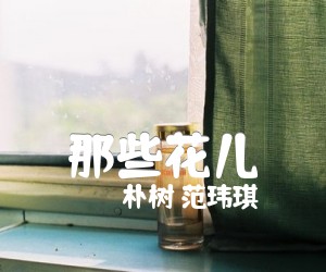 《那些花儿》