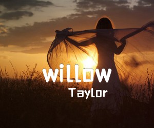 《willow吉他谱》_Taylor_G调 图片谱6张