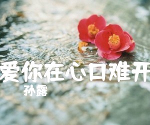 《爱你在心口难开吉他谱》_孙露_阿涛_图片谱完整版_吉他图片谱4张