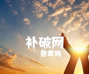 《补破网吉他谱》_蔡幸娟_C调 图片谱2张