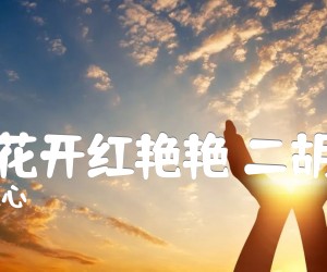 《杜鹃花开红艳艳 二胡曲谱吉他谱》_赵恕心 图片谱1张