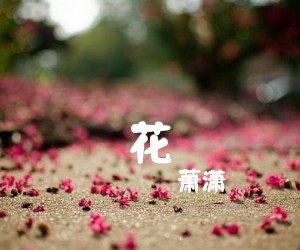 《花吉他谱》_萧潇_吉他图片谱1张