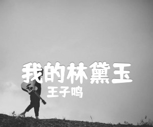 《我的林黛玉吉他谱》_王子鸣 文字谱