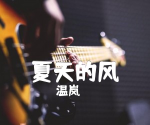 《夏天的风吉他谱》_温岚_D调 图片谱2张