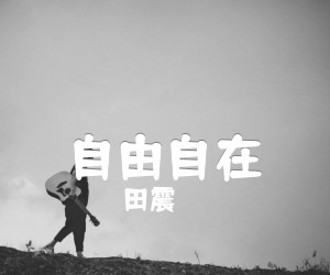 《自由自在吉他谱》_田震_D调 图片谱1张