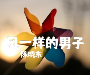 《风一样的男子吉他谱》_陈晓东_吉他图片谱1张