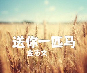 《送你一匹马吉他谱》_金志文_D调_吉他图片谱2张