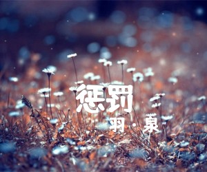 《惩罚吉他谱》_羽·泉_阿杜_图片谱标准版_A调 图片谱1张