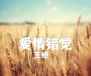 《爱情错觉吉他谱》_王娅_A调 图片谱1张