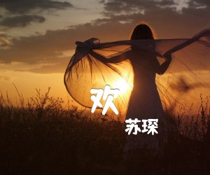 《欢吉他谱》_苏琛_C调 图片谱2张