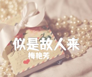 《似是故人来吉他谱》_梅艳芳 文字谱