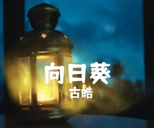 《向日葵吉他谱》_古皓_吉他图片谱1张