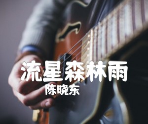 《流星森林雨吉他谱》_陈晓东 文字谱