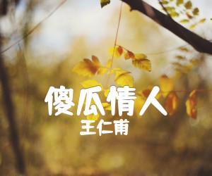 《傻瓜情人吉他谱》_王仁甫 图片谱2张