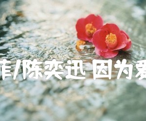 《王菲/陈奕迅 因为爱情吉他谱》_王菲/陈奕迅 图片谱3张