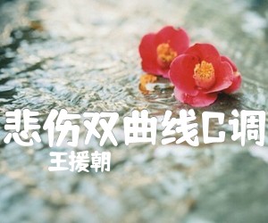 《悲伤双曲线C调吉他谱》_王援朝_C调 图片谱1张