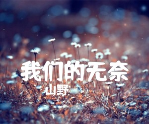 《我们的无奈吉他谱》_山野_文字谱