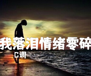 《我落泪情绪零碎吉他谱》_C调_C调 图片谱2张