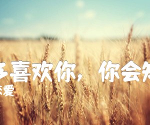 《我多喜欢你，你会知道》