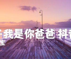 《儿子我是你爸爸 抖音版吉他谱》_王宝 图片谱3张