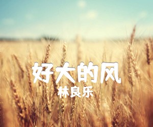 《好大的风吉他谱》_林良乐_C调 图片谱1张