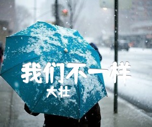 《我们不一样吉他谱》_大壮_吉他图片谱3张