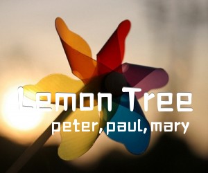 《Lemon Tree吉他谱》_peter,paul,mary 图片谱1张