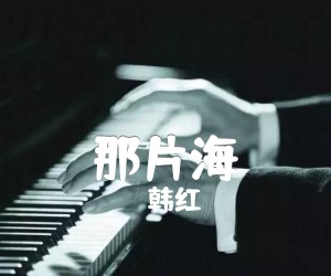 《那片海吉他谱》_韩红 文字谱