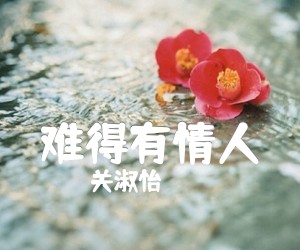 《难得有情人吉他谱》_关淑怡_E调 图片谱2张